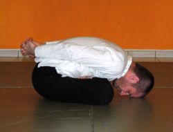 yogamudra